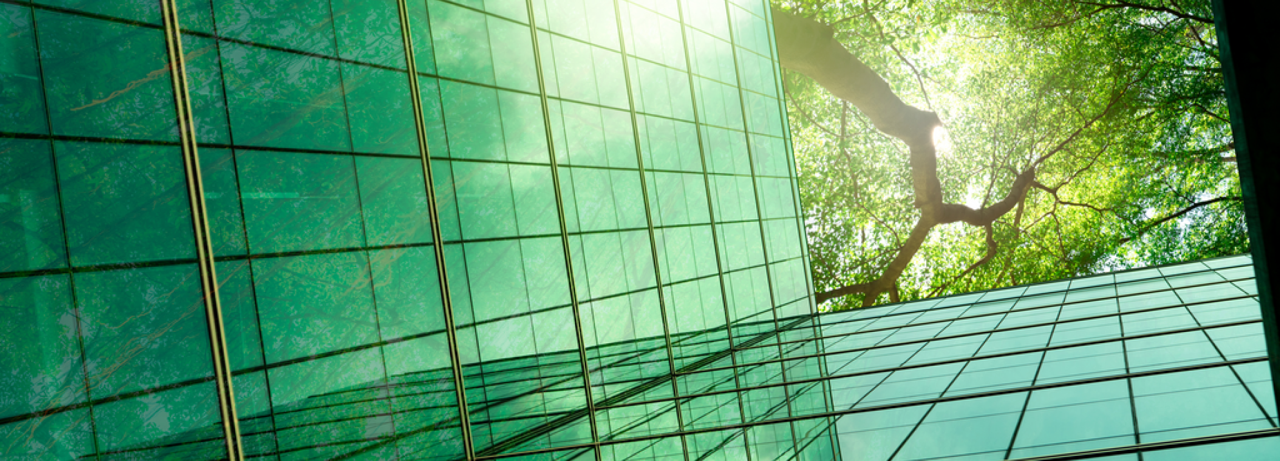 Pharma Contact Us Building